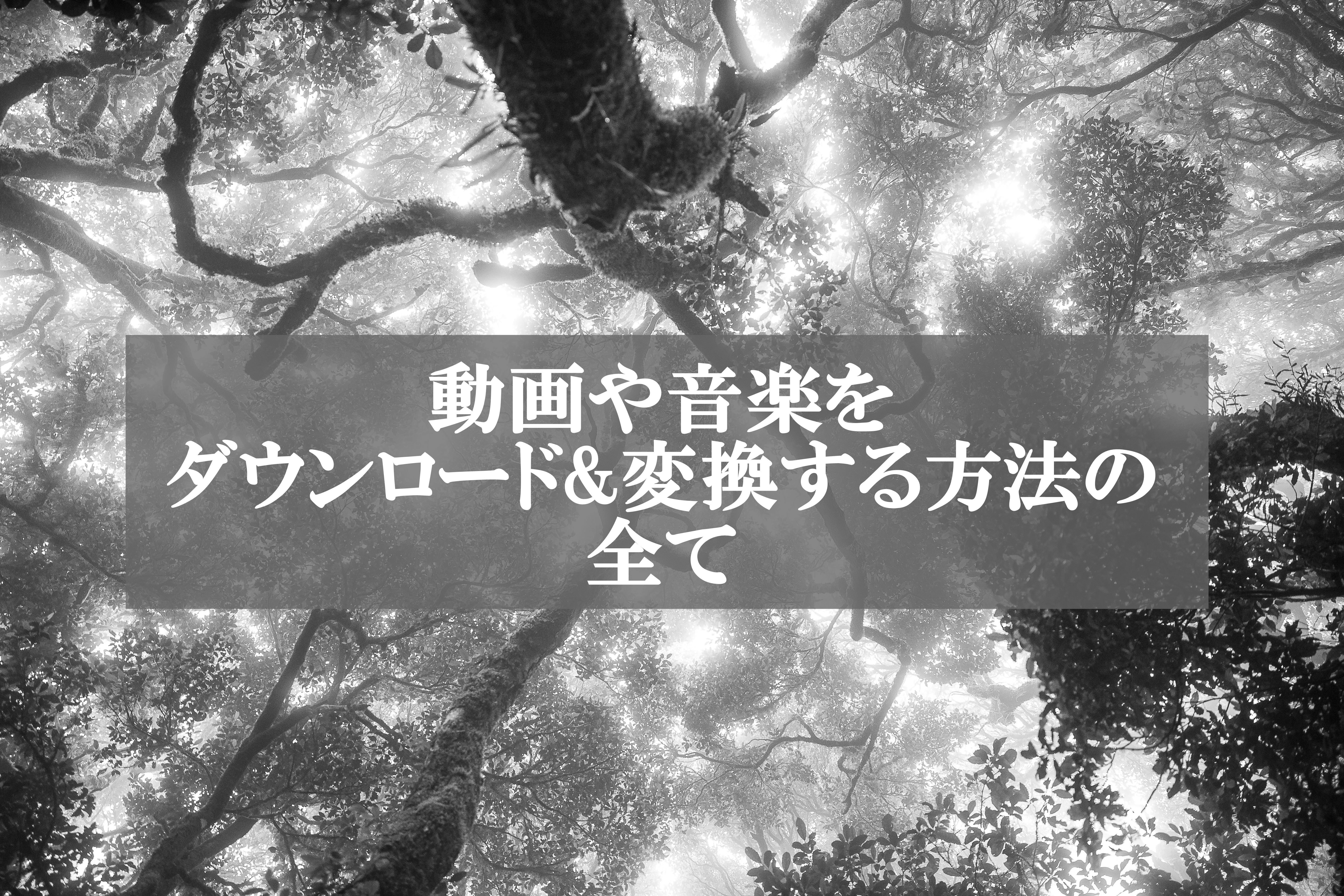 動画や音楽を無料でダウンロード 変換する方法の全て サイト フリーソフト 社会のレールから外れた男